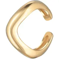 Elli Oorbellen goud