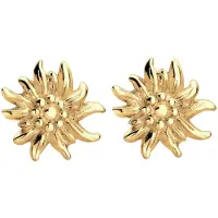 Elli Oorbellen goud
