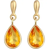 Elli PREMIUM Oorbellen goud