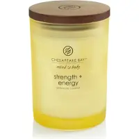 Seifen-Shop Chesapeake Bay Candle – Kracht en energie – Medium 250 g