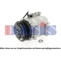 AKS DASIS 851937N Aircopomp