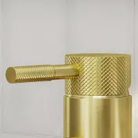 Saniclear Brass Curved hendel voor Plus wastafelkranen (SK35605 en SK35611)