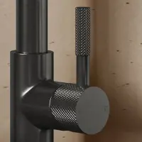 Saniclear Iron Curved hendel voor Highriser (SK89502)