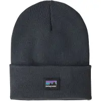 Patagonia Cap Everyday