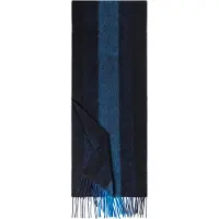 Roeckl Sjaal 'ELEVATED CASHMERE' saffier / zwart