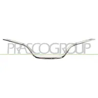 BLIC Sierlijst/beschermstrip, radiatorrooster 6502-07-6009991P