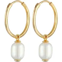 Elli PREMIUM Oorbellen goud