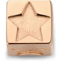 Isabel Bernard Hangers rose-goud