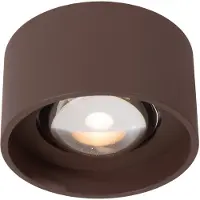 Lucide Lenz Outdoor Ceiling Spot