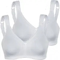 Sassa Minimizer wit