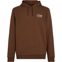O'Neill Sweatshirt kastanjebruin / natuurwit