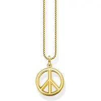 Thomas Sabo - KE2170-996-7-L55V - Halsketting - Unisex - 925er Zilver geel verguld - 50-55cm