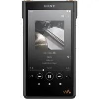 Sony WM1AM2 128GB Zwart