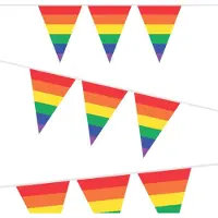 Generique Flaggenlinie Regenbogen, 10 mtr.
