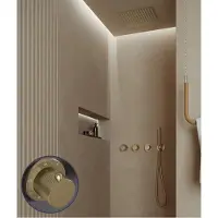 Saniclear Plus Stripes inbouw regendouche met inbouw douchekop 30x30cm en staafhanddouche geborsteld messing - mat goud