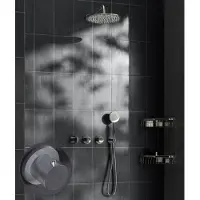 Saniclear Plus Stripes inbouw regendouche met 30cm hoofddouche en muurarm chroom