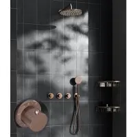 Saniclear Plus Stripes inbouw regendouche met 30cm hoofddouche en muurarm geborsteld koper