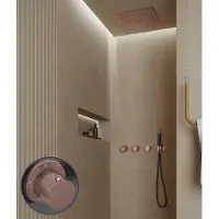 Saniclear Plus Curved Pro inbouw regendouche met inbouw douchekop 30x30cm en staafhanddouche geborsteld koper