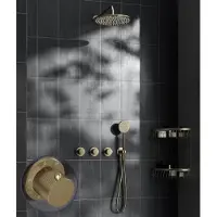 Saniclear Plus Stripes inbouw regendouche met 20cm hoofddouche en muurarm geborsteld messing - mat goud