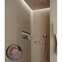 Saniclear Plus Curved inbouw regendouche met inbouw douchekop 30x30cm en 2 standen handdouche geborsteld koper