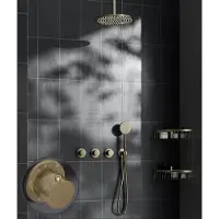Saniclear Plus Curved inbouw regendouche met 20cm hoofddouche en plafondarm geborsteld messing - mat goud