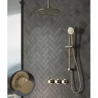 Saniclear Plus Curved inbouw regendouche met 20cm hoofddouche, plafondarm en glijstang geborsteld messing - mat goud