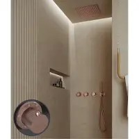 Saniclear Plus Stripes inbouw regendouche met inbouw douchekop 30x30cm en staafhanddouche geborsteld koper