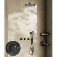Saniclear Plus Stripes inbouw regendouche met 30cm hoofddouche en plafondarm verouderd ijzer - gunmetal