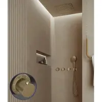 Saniclear Plus Stripes inbouw regendouche met inbouw douchekop 30x30cm en 2 standen handdouche geborsteld messing - mat goud