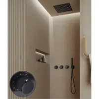 Saniclear Plus Stripes inbouw regendouche met inbouw douchekop 30x30cm en staafhanddouche zwart mat