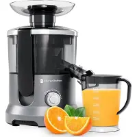 Kitchenbrothers Sapcentrifuge - Voor Groenten en Fruit - Juicer - Met Pulpcontainer - 500ml - 600W - Zilver/Grijs