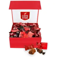 Côte d'Or The Best Of – Luxe Magneetdoos met Chokotoff, Mini Bouchée & Mignonnette Melk