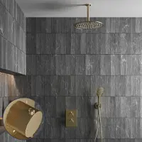 Saniclear Brass Stripes inbouw regendouche met 20cm hoofddouche, plafondarm en 2 standen handdouche geborsteld messing - mat goud