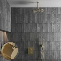 Saniclear Brass Stripes inbouw regendouche met 20cm hoofddouche en plafondarm geborsteld messing - mat goud
