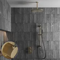 Saniclear Brass Stripes Pro inbouw regendouche met 30cm hoofddouche, plafondarm en glijstang geborsteld messing - mat goud
