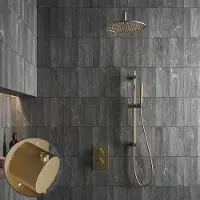 Saniclear Brass Stripes inbouw regendouche met 30cm hoofddouche, muurarm en glijstang geborsteld messing - mat goud