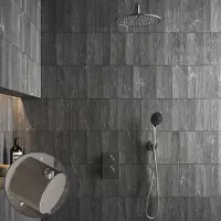 Saniclear Exclusive Stripes inbouw regendouche met 30cm hoofddouche, muurarm en 3 standen handdouche RVS