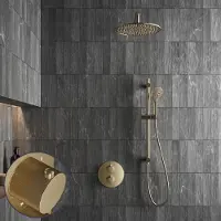 Saniclear Brass Stripes inbouw regendouche rond met 20cm hoofddouche, muurarm, 2 standen handdouche en glijstang geborsteld messing - mat goud
