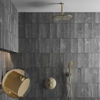 Saniclear Brass Stripes inbouw regendouche rond met 20cm hoofddouche, plafondarm en 2 standen handdouche geborsteld messing - mat goud