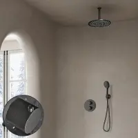 Saniclear Iron Stripes inbouw regendouche rond met 30cm hoofddouche, plafondarm en 2 standen handdouche verouderd ijzer - gunmetal