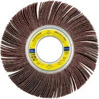 Klingspor 12000 SM 611 schuurmopper LS 309 X, 100 x 30 x 21 mm korrel 40 Diameter 100 mm 5 stuk(s)