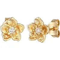 Elli Oorbellen 'Blume' goud