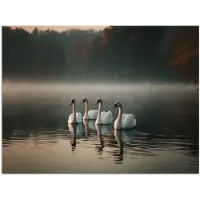 PosterMonkey Poster 120x90 cm - Zwanen - Wit - Water - Mist - Posters - Kamer decoratie - Wanddecoratie woonkamer - Muurdecoratie slaapkamer