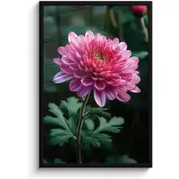 PosterMonkey Poster in lijst - Fotolijst 60x90 cm - Posters - Blad - Chrysant - Roze - Schaduw - Posterlijst zwart - Decoratie - Wanddecoratie woonkamer - Muurdecoratie slaapkamer