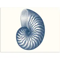 PosterMonkey Poster 120x90 cm - Blauw - Schelp - Spiraal - Posters - Kamer decoratie - Wanddecoratie woonkamer - Muurdecoratie slaapkamer