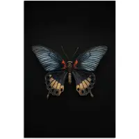 PosterMonkey Poster 80x120 cm - Vlinder - Metaalachtig - Geometrisch patroon - Posters - Kamer decoratie - Wanddecoratie woonkamer - Muurdecoratie slaapkamer