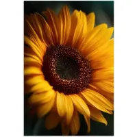 PosterMonkey Poster 80x120 cm - Geel - Zonnebloem - Zomers - Posters - Kamer decoratie - Wanddecoratie woonkamer - Muurdecoratie slaapkamer