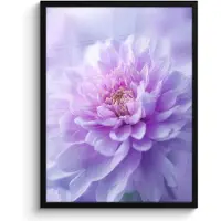 PosterMonkey Poster in lijst - Fotolijst 60x80 cm - Posters - Paars - Dahlia - Dromerig - Posterlijst zwart - Decoratie - Wanddecoratie woonkamer - Muurdecoratie slaapkamer