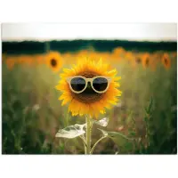 PosterMonkey Poster 80x60 cm - Zonnebloem - Veld - Zonnebril - Posters - Kamer decoratie - Wanddecoratie woonkamer - Muurdecoratie slaapkamer