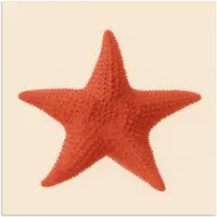 PosterMonkey Poster 50x50 cm - Zeester - Bobbels - Rood - Posters - Kamer decoratie - Wanddecoratie woonkamer - Muurdecoratie slaapkamer